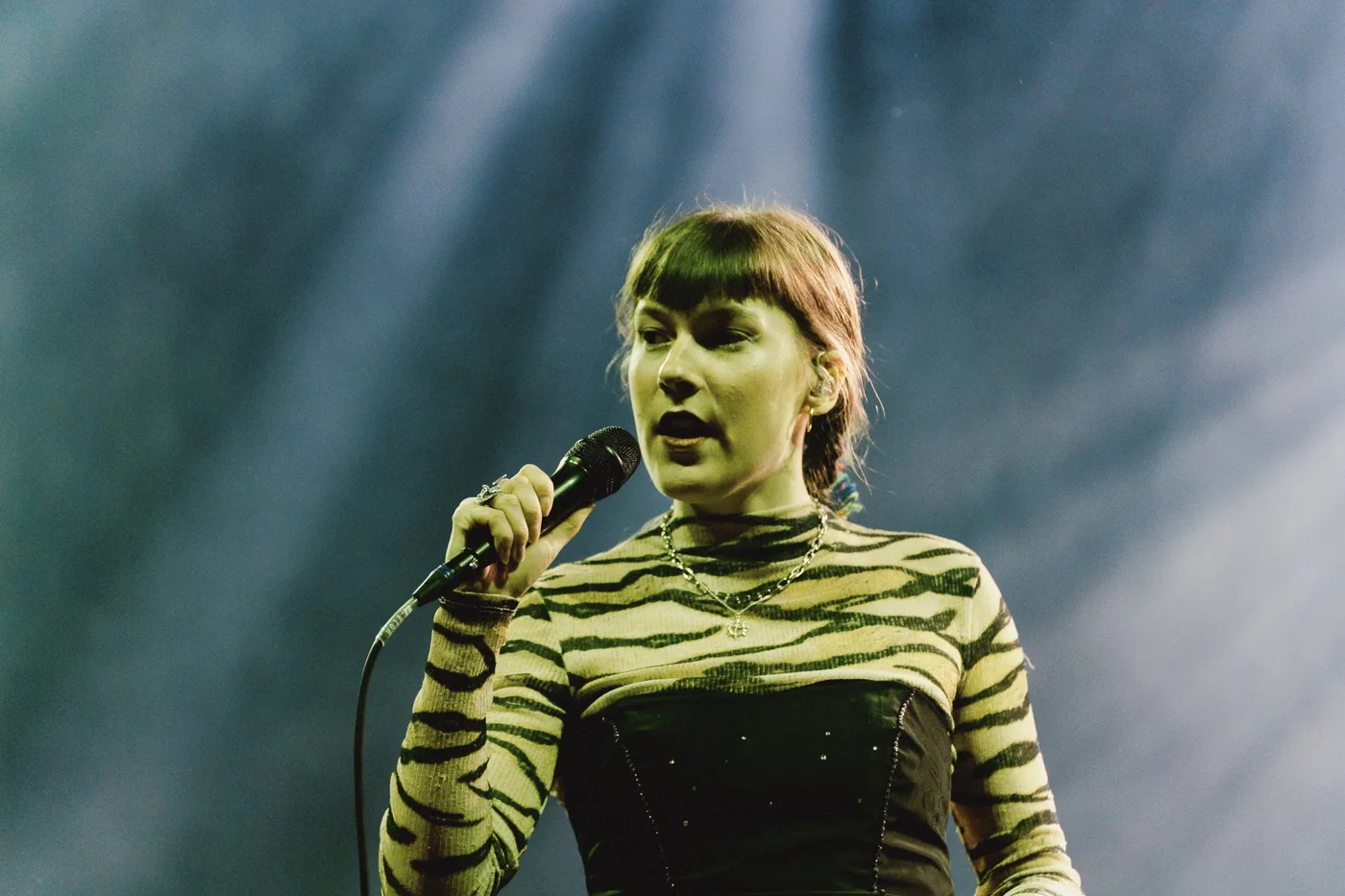 Folkets Festival – festivalbilde