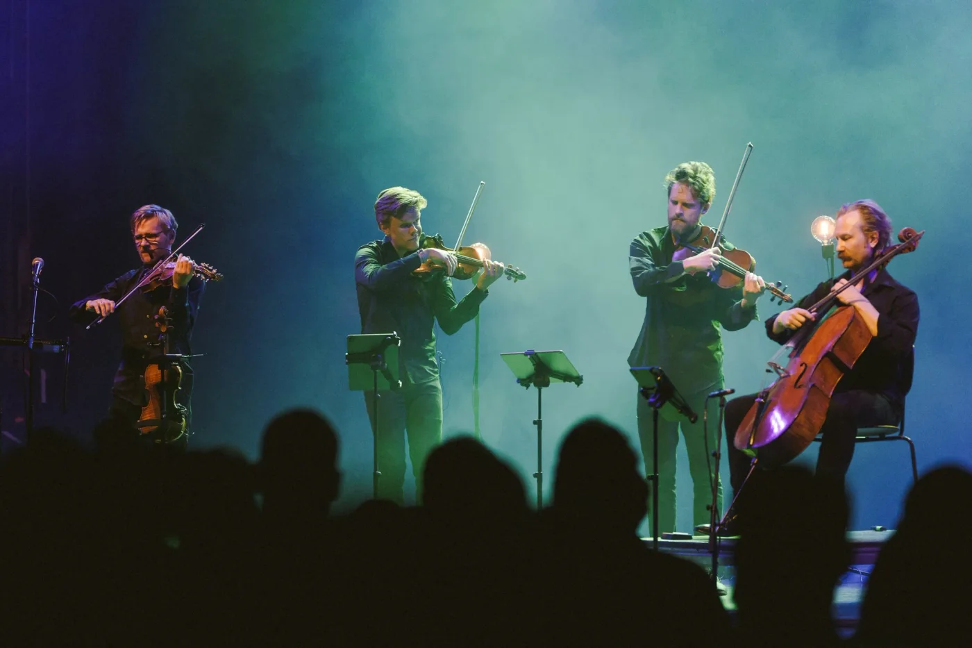 Folkets Festival – konsertmiljø