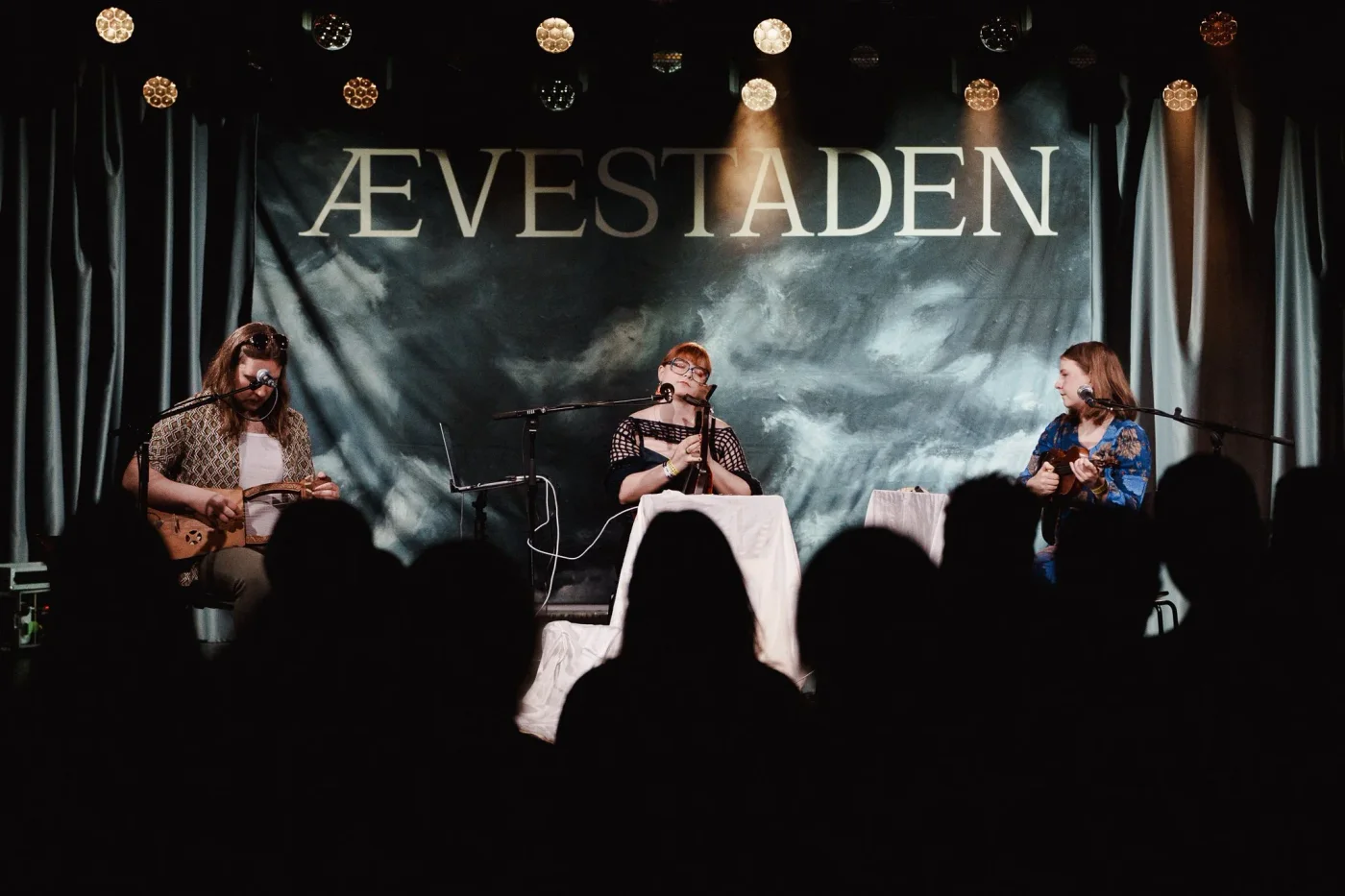 Folkets Festival – konsertmiljø