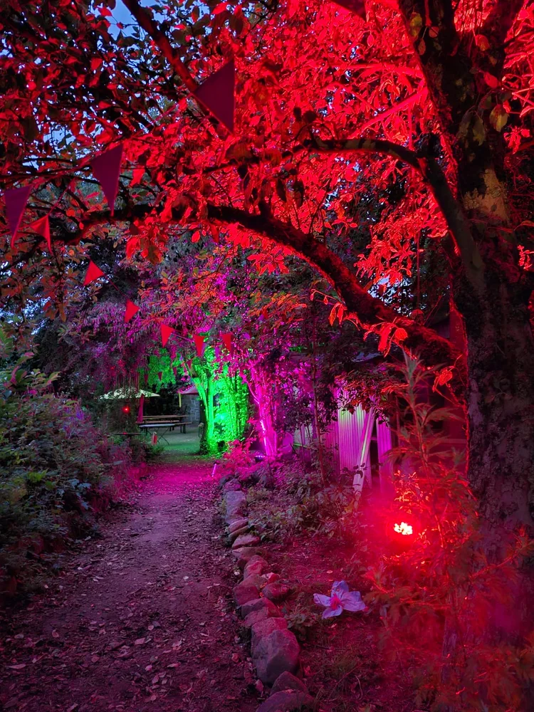 Sommerland Festival: Fargede lys langs festivalens skogssti.